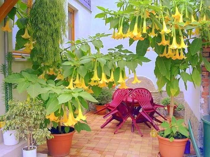 Ferienwohnung für 2 Personen, mit Garten, kinderfreundlich in Thüringer Kernland - 3