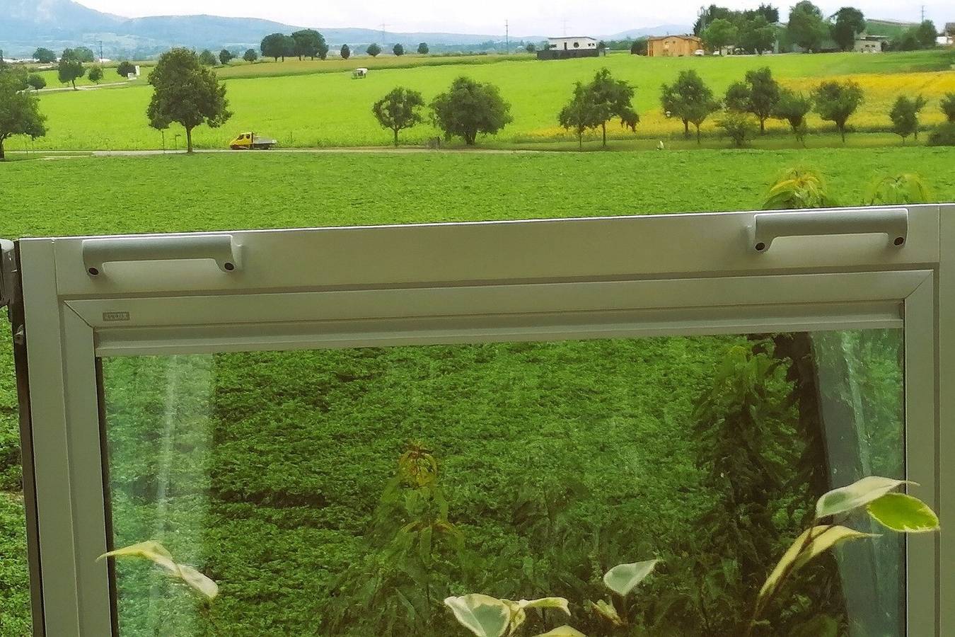 Ganze Wohnung, Apartment 'Green' mit privater Terrasse, Gemeinschaftsgarten und Wlan in Bad Krozingen, Südschwarzwald