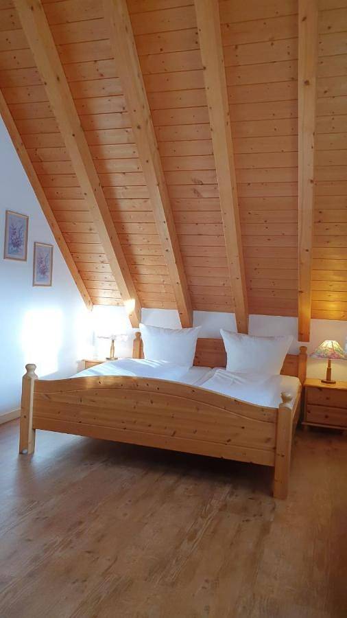 Hotel für 8 Personen, mit Terrasse und Garten in Häusern - 3