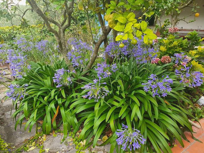 Appartamento intero, Appartamento vacanze per 3 persone con giardino in Casa Carli, Prelà