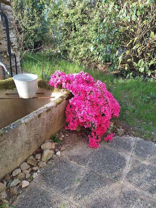 Location de vacances pour 11 personnes, avec jardin et piscine ainsi que vue et sauna, animaux acceptés à Mailhac-sur-Benaize - 4