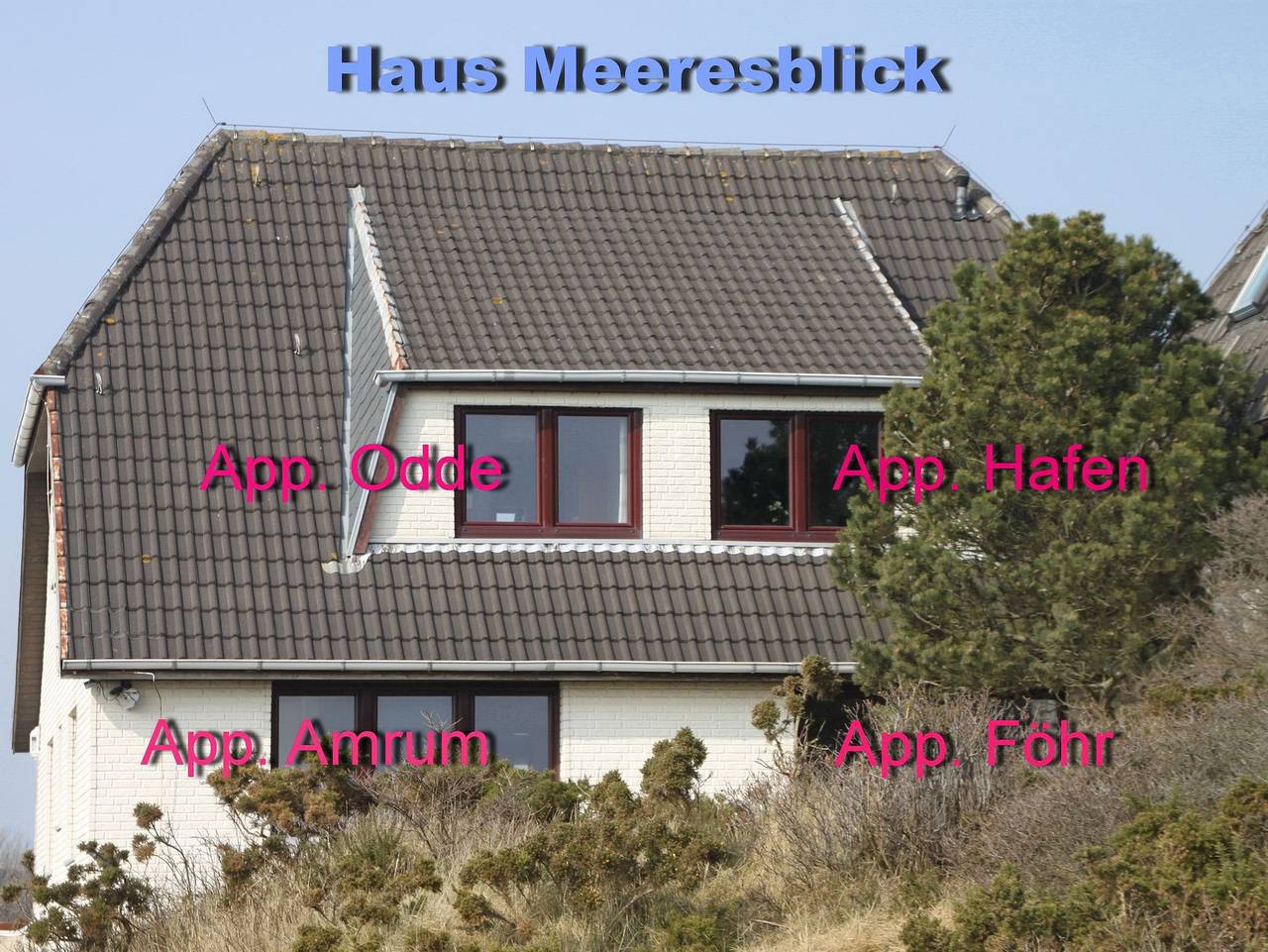 Ganze Ferienwohnung, App. Föhr in Hörnum, Sylt