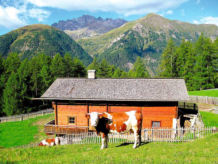 Almhütte Adlerhorst in Hohe Tauern, Heiligenblut