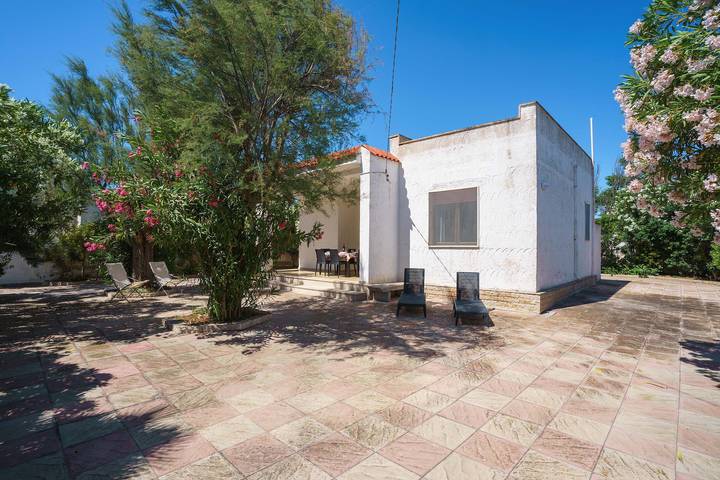 Ferienhaus für 6 Personen, mit Garten in Punta Prosciutto - 3