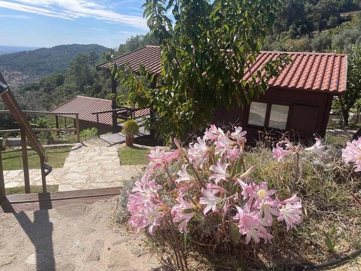 Casa rural para 4 personas, con vistas además de jardín y piscina en Portalegre - 4