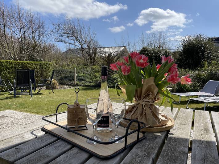 Bungalow für 6 Personen, mit Garten, mit Haustier in Julianadorp - 2