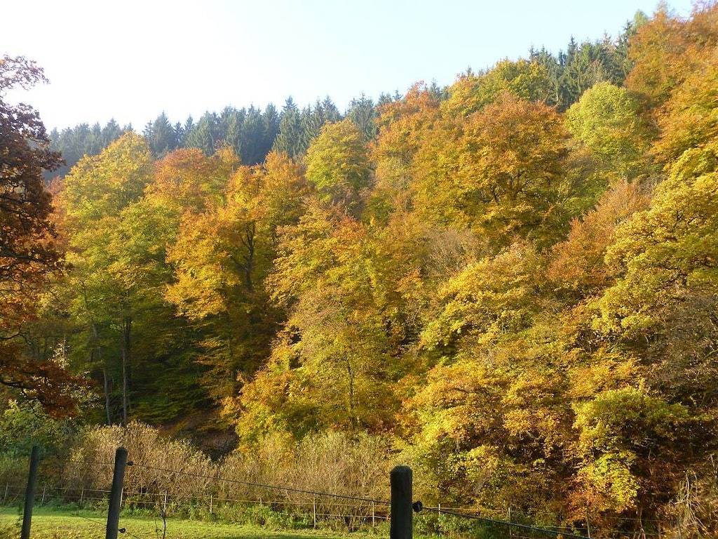 Neumühle ab April 2014! in Lutzerath, Cochem-Zell