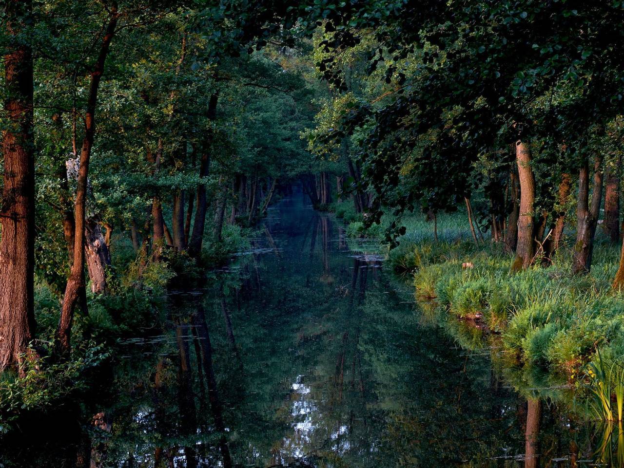 Ganze Ferienwohnung, Ferienwohnung Spreewald pur - Ferienwohnung Spreewald pur in Lübbenau, Oberspreewald-Lausitz