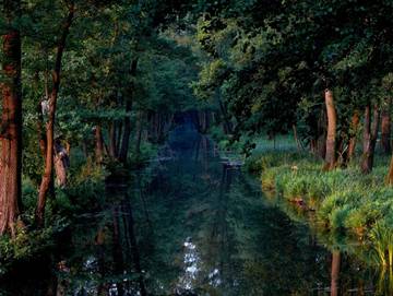 Ferienwohnung für 4 Personen in Lübbenau, Spreewald, Bild 1