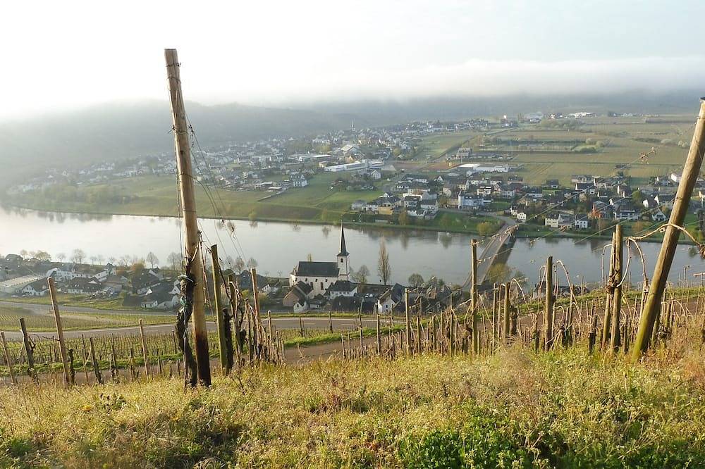 Ferienhaus Berkele für 8 bis 12 Personen\n200qm, 6 Dz 5 Bäder idyllischer Garten in Neumagen-Dhron, Bernkastel-Kues & Umgebung