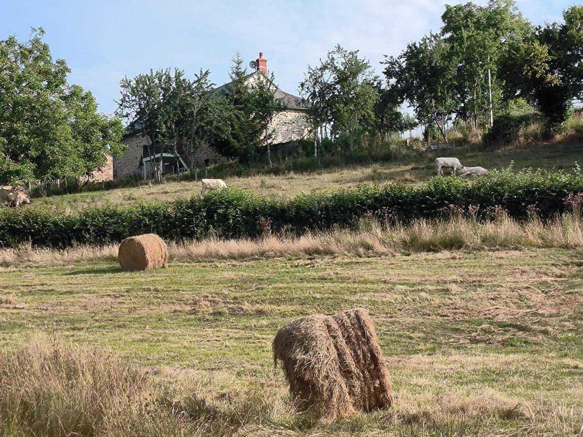 Chambres d'Hôtes Montjouan in Larochemillay, Parc naturel régional du Morvan