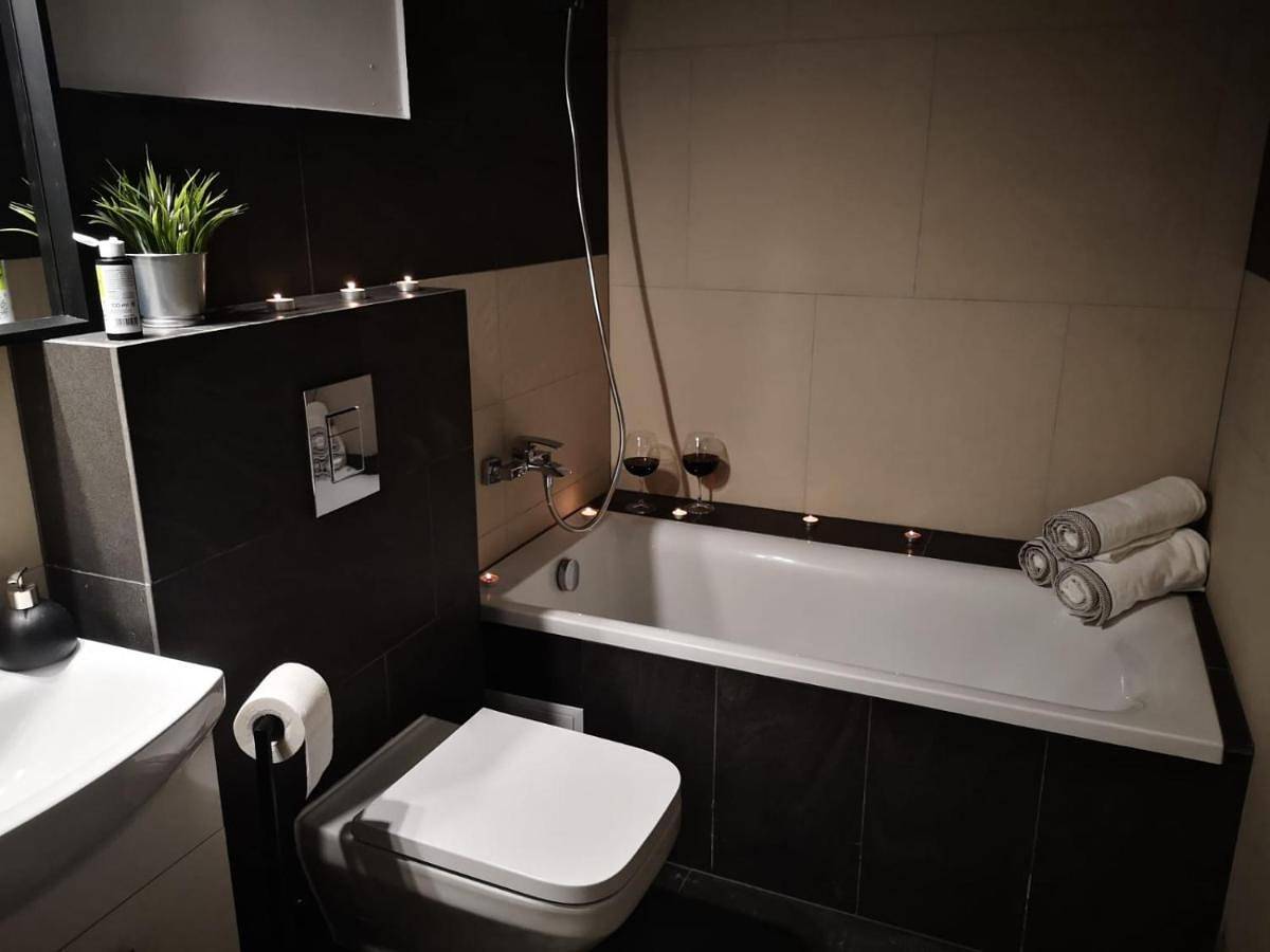 Cały apartament, Apartamenty Lena 3 in Racibórz, Śląsk