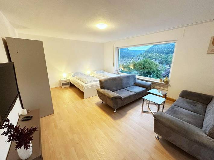 Ferienwohnung für 7 Personen, mit Terrasse in Lichtenstein - 3