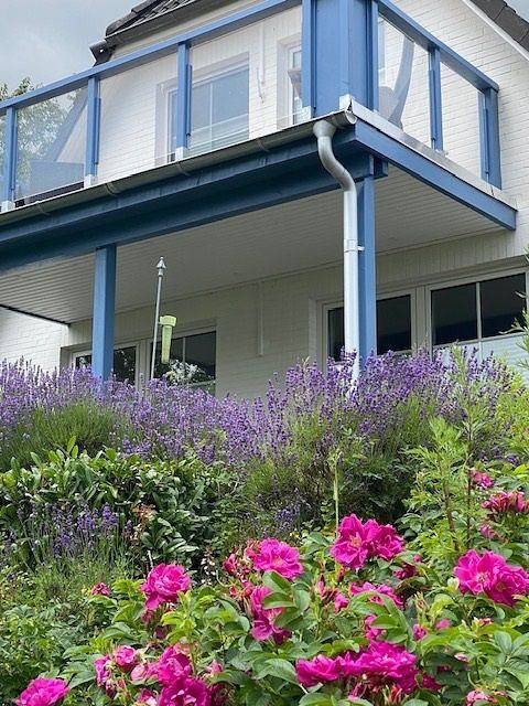 Ferienhaus für 2 Personen, mit Garten und Sauna in Schlei - 3