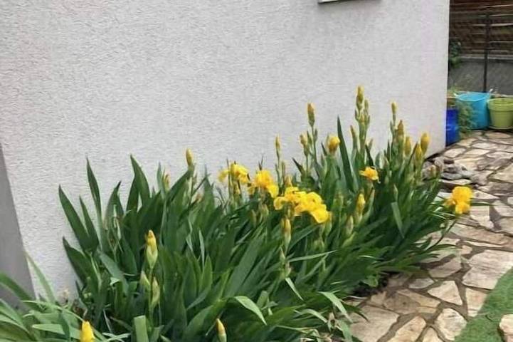 Chambre d’hôte pour 3 personnes, avec Jardin