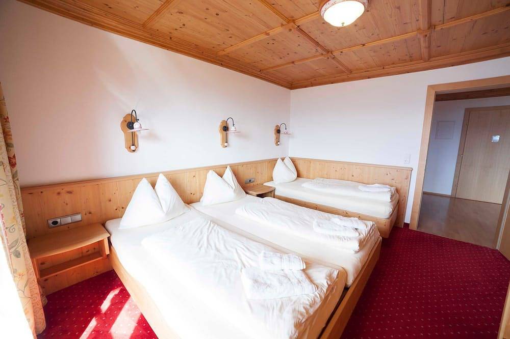 Ganze Wohnung, Hochkönig - Ferienwohnung Hochnössler in Altenmarkt im Pongau, Ski Amadé