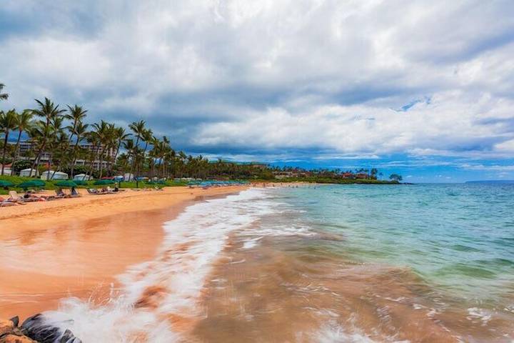 Villa pour 9 personnes, avec jardin ainsi que jacuzzi et piscine dans Hawai - 4