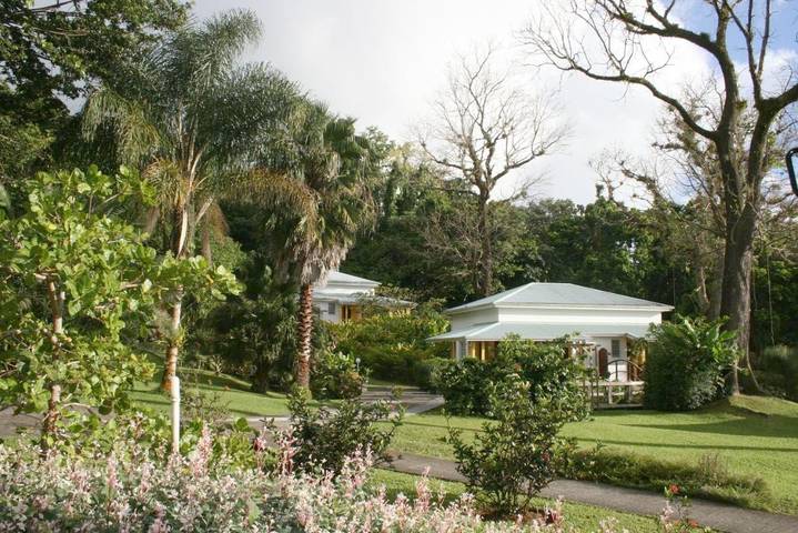 Maison d’hôte pour 2 personnes, avec jardin et vue en Guadeloupe - 4