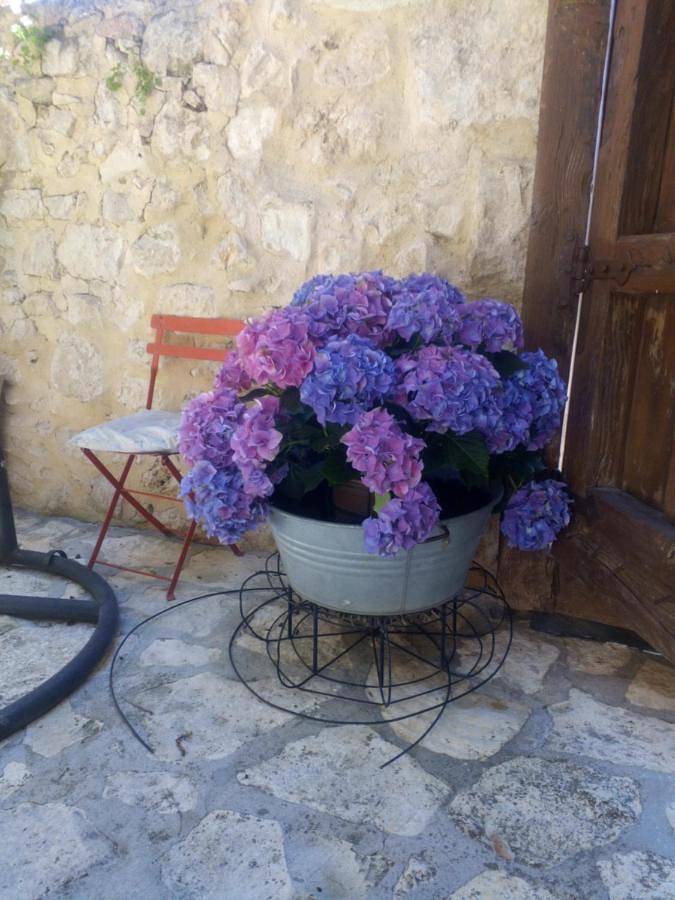 Casa rural para 8 personas, con Balcón además de Jacuzzi y Terraza en Provincia de Segovia - 3
