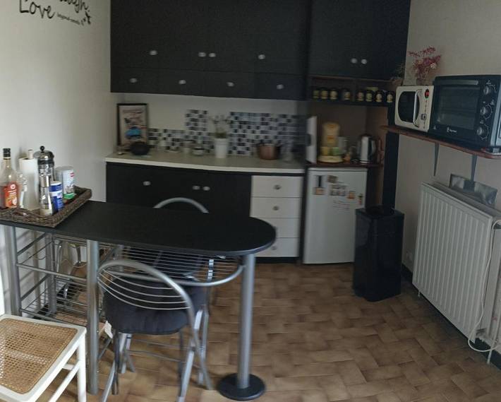 Gîte pour 4 personnes, avec balcon et jardin à Moncé-en-Belin - 3