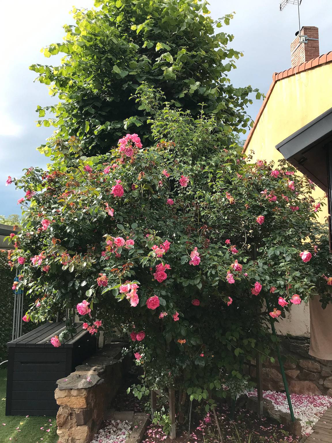 Maison 'Les Colibris 3 - Spa - 6 Personen' mit Privatterrasse, Wlan und Klimaanlage in Saint-Gervazy, Zentralmassiv