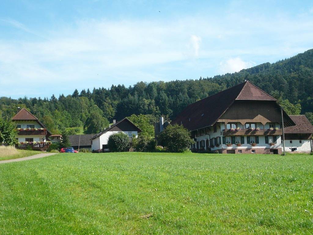 Ferienwohnung mit 2 Schlafzimmer in Seelbach, Mittlerer Schwarzwald