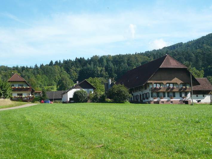 Ferienwohnung mit 2 Schlafzimmer in Seelbach, Mittlerer Schwarzwald
