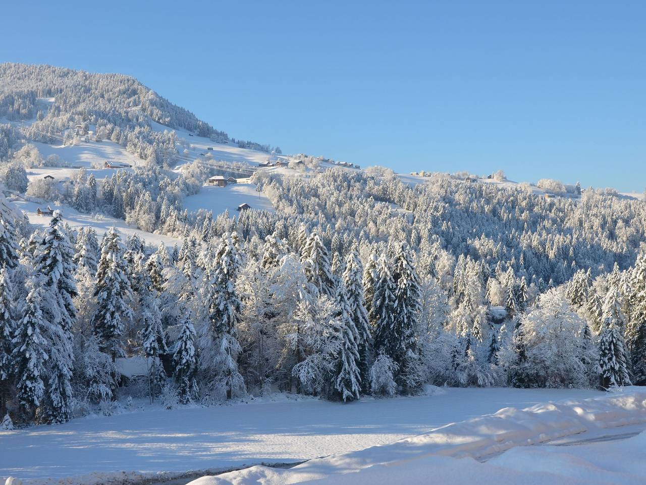 Ganze Ferienwohnung, Ferienwohnung Huber - Ferienwohnung Familie Huber in Langenegg, Bodensee-Vorarlberg
