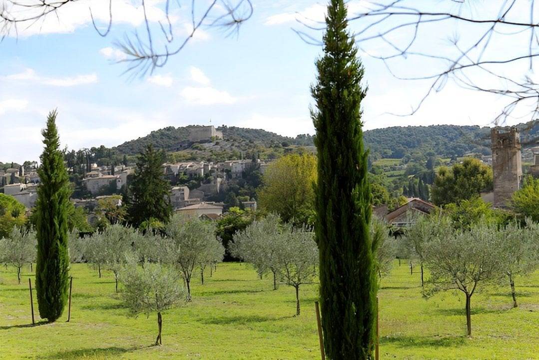 Les Tilleuls d'Elisée - Les Micocouliers in Vaison-la-Romaine, Parc naturel régional du Mont-Ventoux