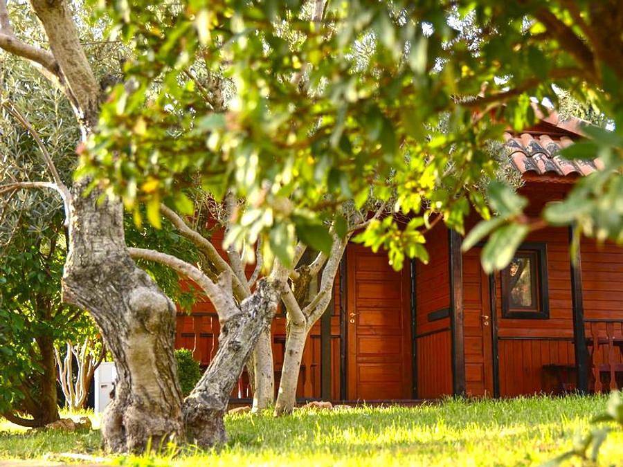 Camping Alquezar - Bungalow 2 personnes - Bungalow pas de cuisine lit double in Alquézar, Province de Huesca