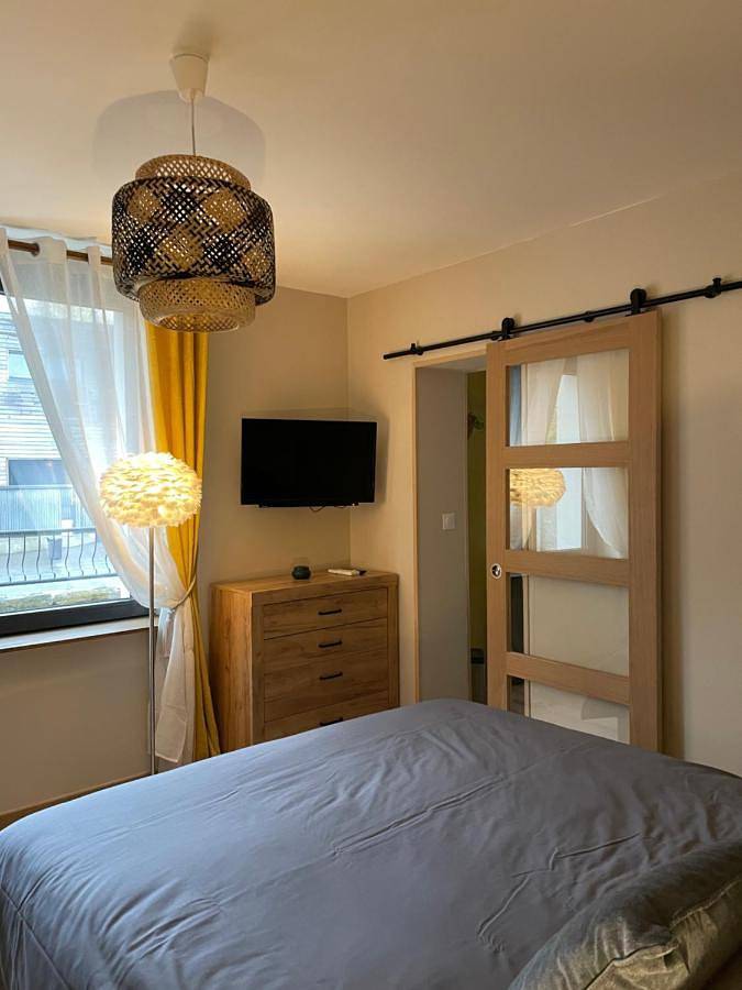 Gîte pour 2 personnes, avec Jacuzzi ainsi que Terrasse et Sauna à Saint-Amand-les-Eaux - 4