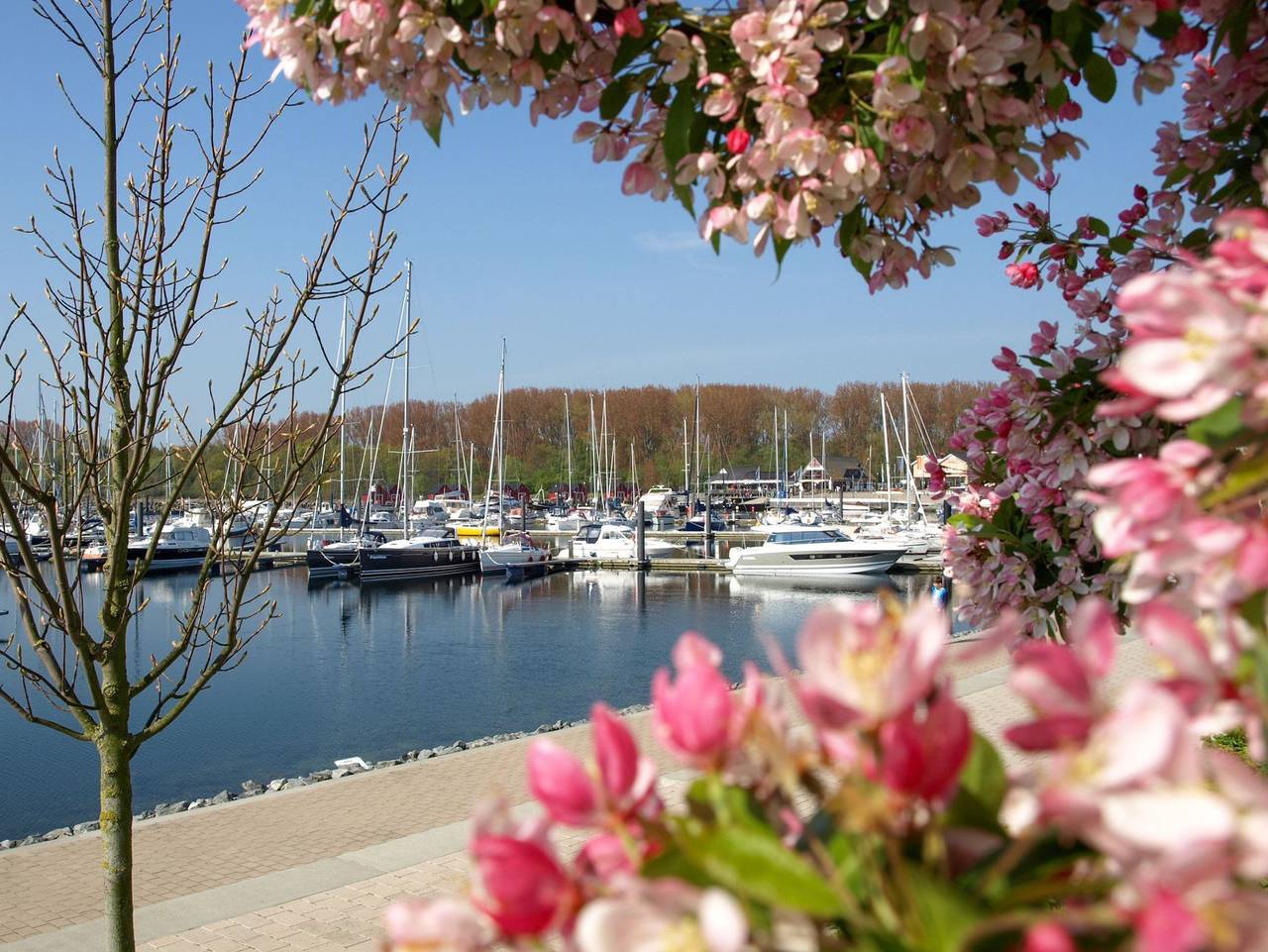 Boltenhagen, Ferienhaus Boltenhagen 62a - Boltenhagen - Ferienhaus in Boltenhagen, Nordwestmecklenburg (Wismar und Umgebung)