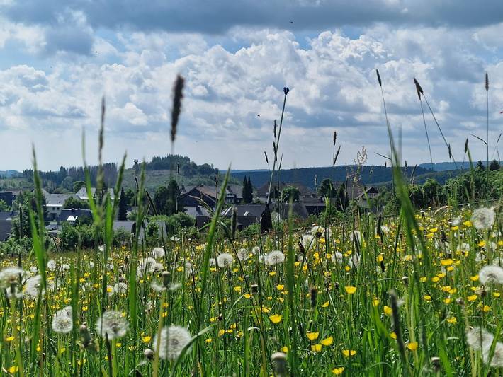 Ganze Wohnung, Hirschblick-Apartments Bontkirchen, Brilon: Komfort im Sauerland in Brilon, die Mittelgebirge