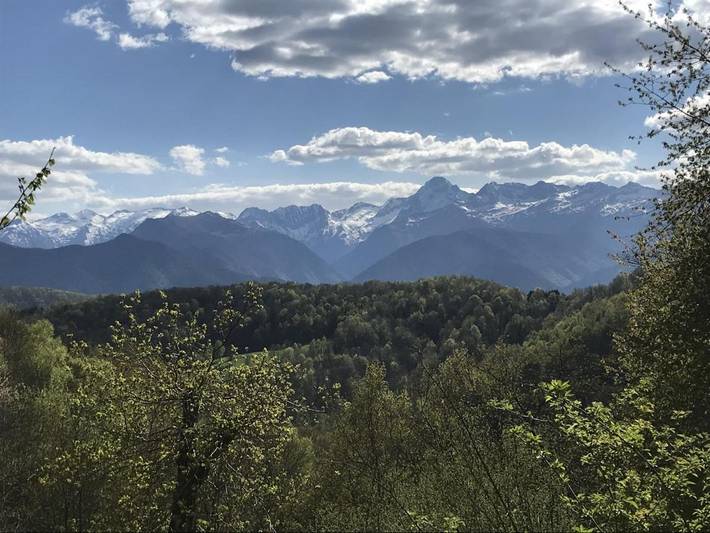 Gîte pour 5 personnes, avec vue et jardin, animaux acceptés à Tourtouse - 4
