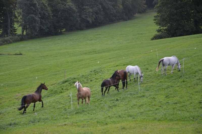 Hof Rossruck in Fischbachau, Alpenland Tegernsee Schliersee