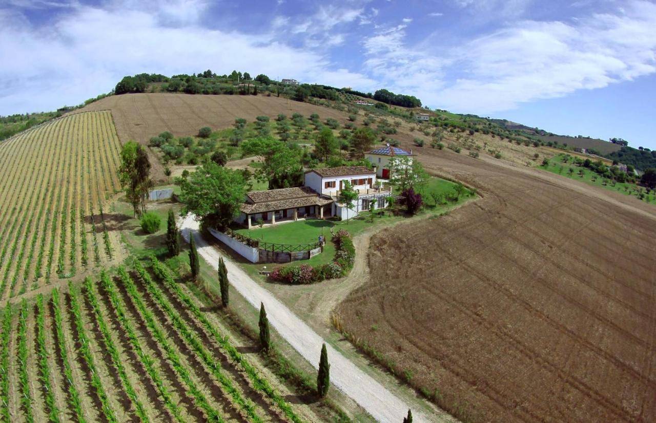 Agriturismo L'Arcadia in Città Sant'Angelo e dintorni, Provincia di Pescara