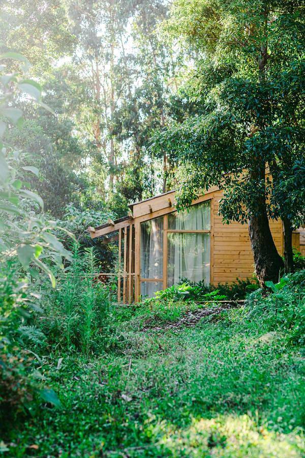 Casa de férias para 4 pessoas, com Varanda e Terraço em São Jorge (Portugal)