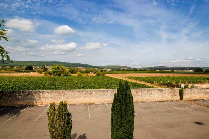 Hôtel pour 4 personnes, avec jardin et piscine à Marsannay-la-Côte - 4