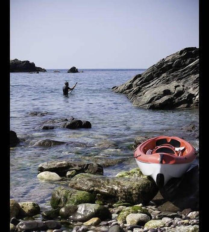 Ganze Wohnung, Entspannen & Relax @ Forster in Forster Main Beach, Forster