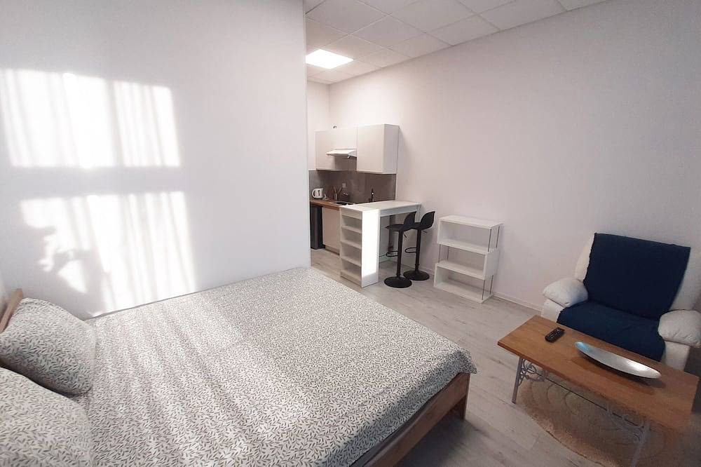 Ganze Wohnung, Souvenirappart Sienkiewicza 3D in Bromberg, Kujawien-Pommern