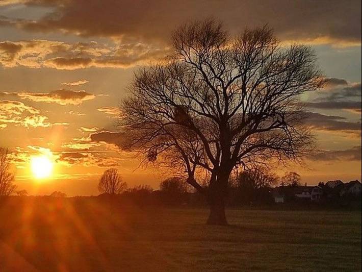 Ferienwohnung für 3 Personen, mit Garten in Dessau-Wörlitzer Gartenreich - 4