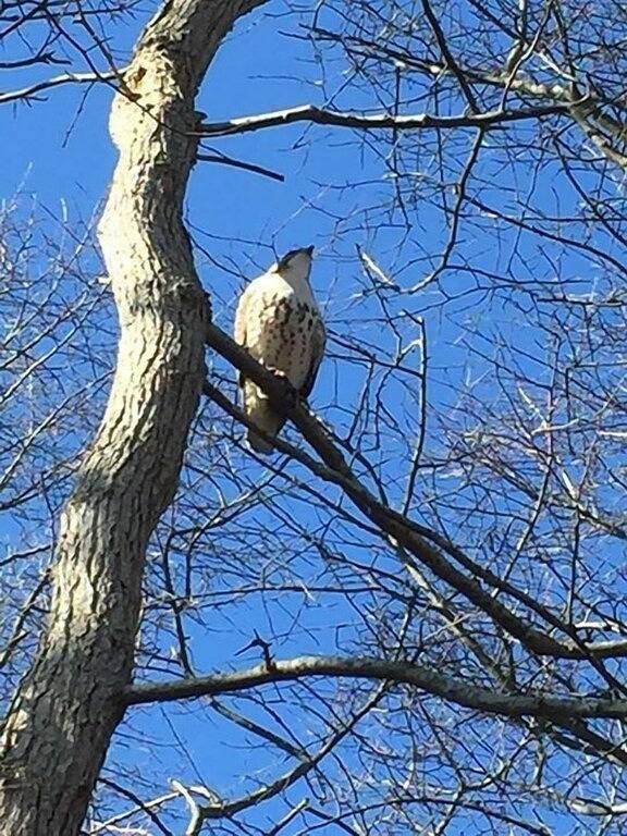 Einzigartige Beach Cottage - Vineyard Vista - in West Cape May, Cape May County