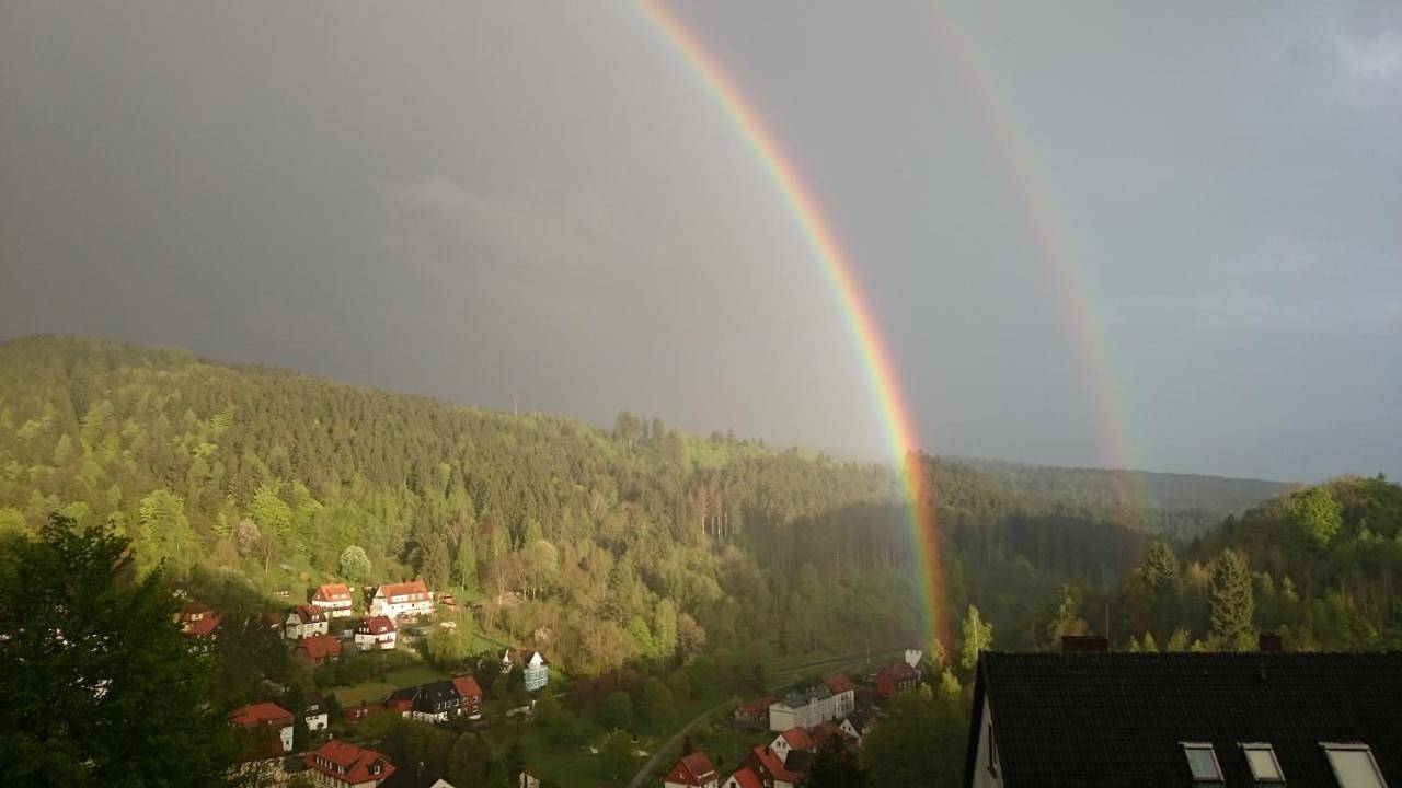 Pension Talblick Bad Grund in Bad Grund, Harzvorland