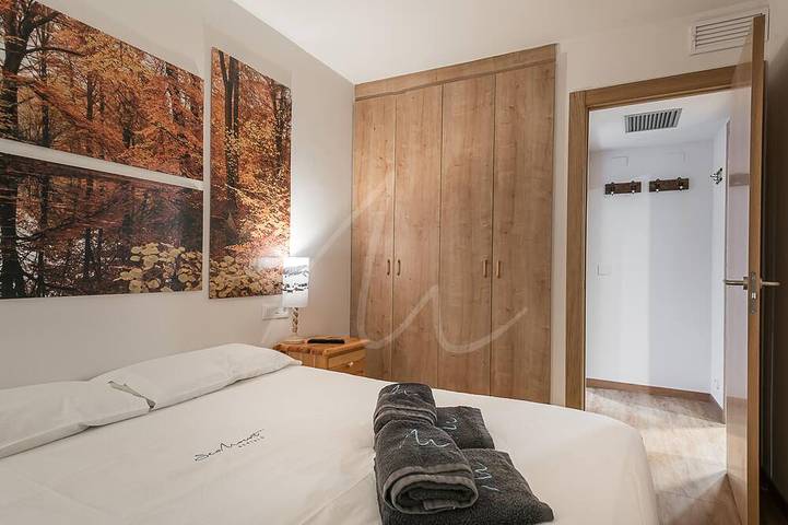 Appartement entier, Bonaigua 007 in Baqueira, Naut Aran