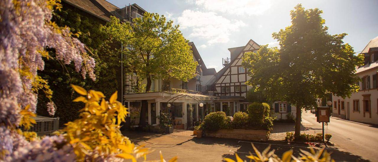 Ferienresidenz Brauneberger Hof an der Mosel nahe Bernkastel-Kues in Brauneberg, Bernkastel-Kues & Umgebung