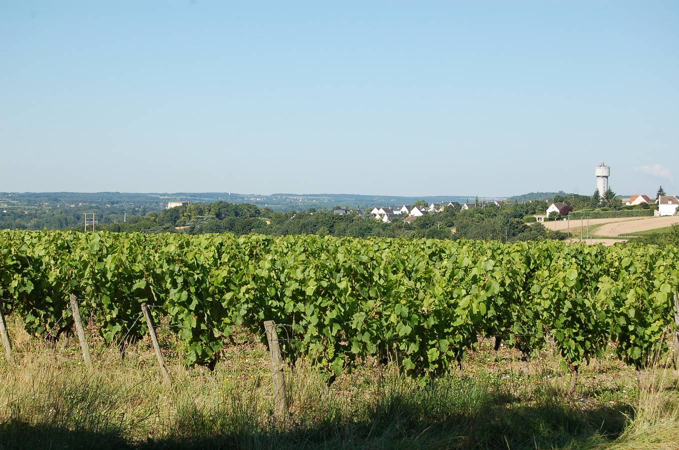 La Bergerie - Domaine Les Drageonnières in Montrichard, Région de Blois