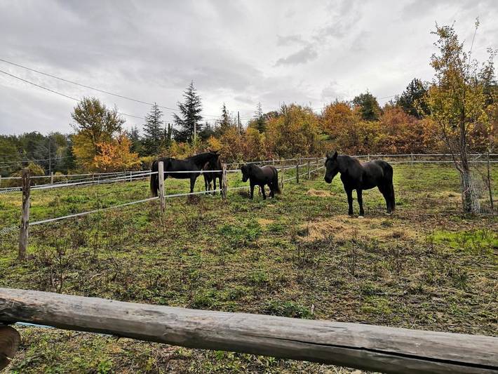 Location de vacances pour 3 personnes, avec jardin ainsi que terrasse et vue, animaux acceptés à Ozzano dell'Emilia - 4