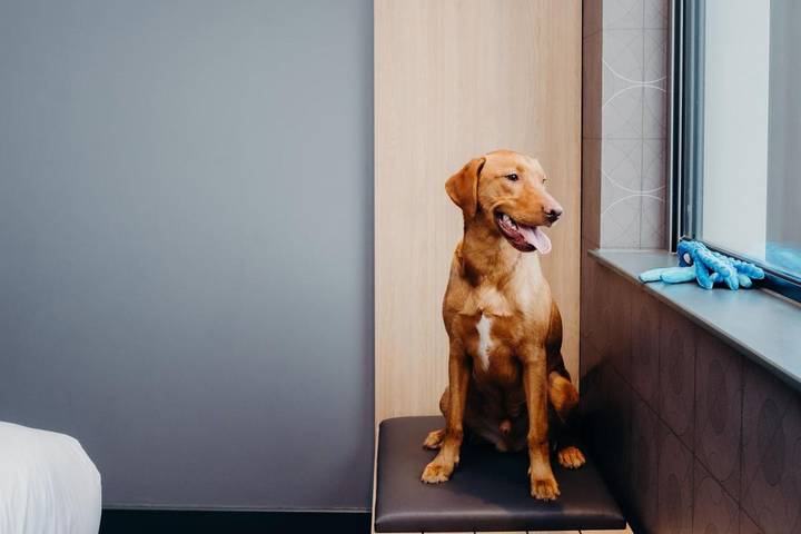 Hôtel pour 2 personnes, avec vue à Aberdeen - 4