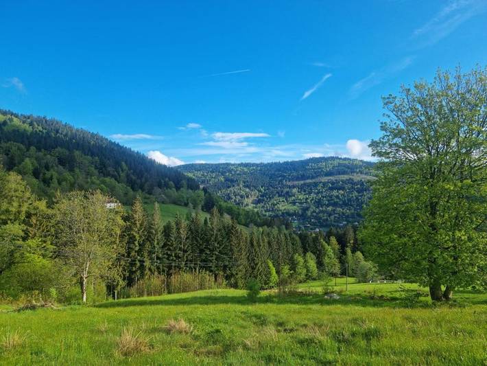 Maison d’hôte pour 2 personnes, avec vue ainsi que sauna et jardin dans les Vosges - 3