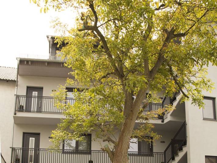 Acogedor apartamento de 1 dormitorio con balcón cerca de la playa y del río in Lübben, Dahme - Spreewald region